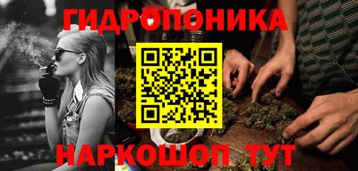 мдпв Гусев