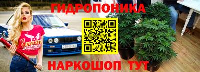 mdpv Гусь-Хрустальный