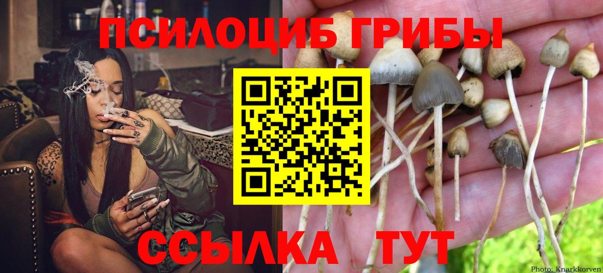 Псилоцибиновые грибы Magic Shrooms Муром